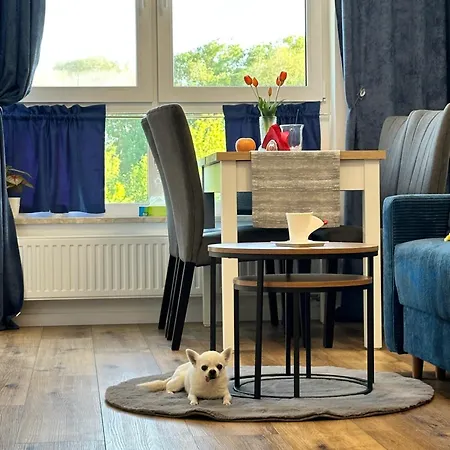 Na Wiedenskiej Apartment